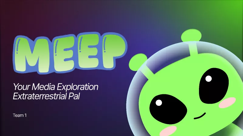 MEEP Case Study